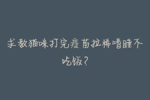 求教猫咪打完疫苗拉稀嗜睡不吃饭?-动物百科