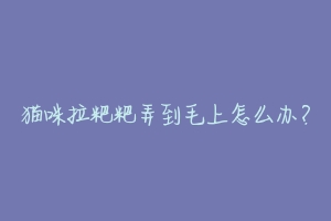 猫咪拉粑粑弄到毛上怎么办?-动物百科