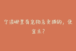 宁波哪里有宠物店卖猫的,便宜点?-动物百科