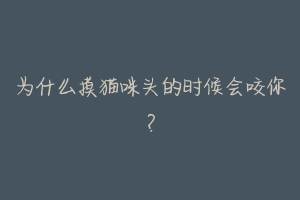 为什么摸猫咪头的时候会咬你?-动物百科