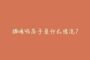 猫咪吸瓜子是什么情况?-动物百科