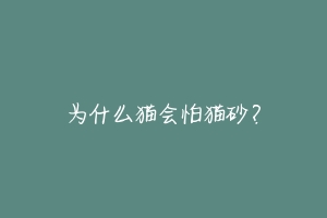 为什么猫会怕猫砂?-动物百科