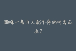 猫咪一离开人就不停地叫怎么办?-动物百科