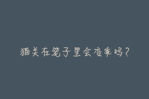 猫关在笼子里会变乖吗?-动物百科
