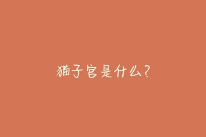猫子宫是什么?-动物百科
