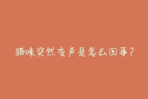 猫咪突然变声是怎么回事?-动物百科