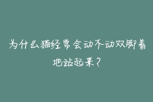 为什么猫经常会动不动双脚着地站起来?-动物百科