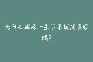 为什么猫咪一生下来就闭着眼睛?-动物百科