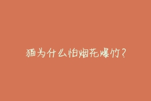 猫为什么怕烟花爆竹?-动物百科