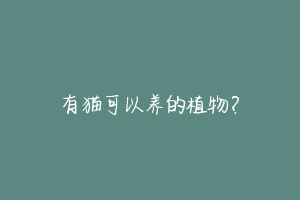 有猫可以养的植物?-动物百科