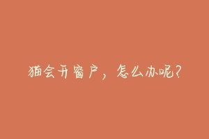 猫会开窗户,怎么办呢?-动物百科