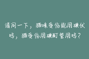 请问一下,猫咪受伤能用碘伏吗,猫受伤用碘酊管用吗?-动物百科