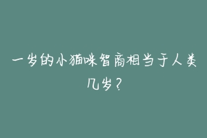 一岁的小猫咪智商相当于人类几岁?-动物百科