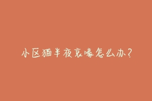 小区猫半夜哀嚎怎么办?-动物百科