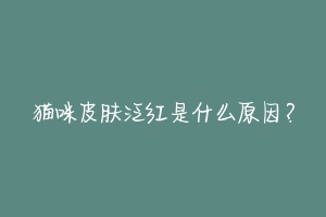 猫咪皮肤泛红是什么原因?-动物百科