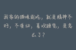 我家的猫咪能吃,就是精神不好,不爱动,喜欢睡觉,是怎么了?-动物百科