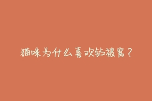 猫咪为什么喜欢钻被窝?-动物百科