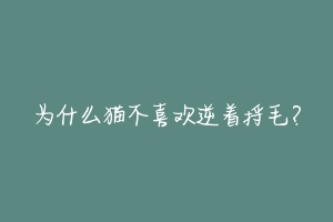 为什么猫不喜欢逆着捋毛?-动物百科