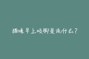 猫咪早上咬脚是说什么?-动物百科