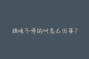 猫咪不停的叫怎么回事?-动物百科