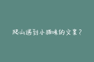 爬山遇到小猫咪的文案？-动物百科