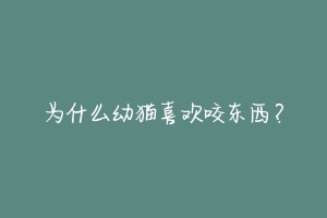 为什么幼猫喜欢咬东西？-动物百科