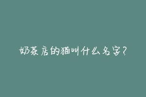 奶茶店的猫叫什么名字？-动物百科