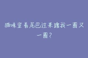 猫咪竖着尾巴过来蹭我一圈又一圈？-动物百科