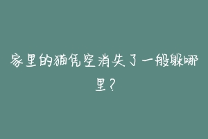 家里的猫凭空消失了一般躲哪里？-动物百科