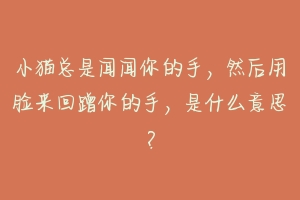 小猫总是闻闻你的手，然后用脸来回蹭你的手，是什么意思？-动物百科