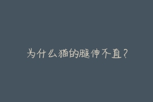 为什么猫的腿伸不直？-动物百科