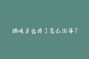 猫咪牙齿掉了怎么回事？-动物百科