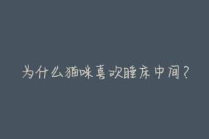 为什么猫咪喜欢睡床中间?-动物百科