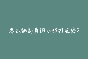怎么辨别真假小猫打底裤?-动物百科