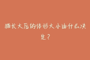 猫长大后的体形大小由什么决定?-动物百科