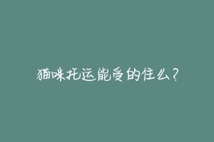 猫咪托运能受的住么?-动物百科
