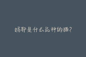 妈耶是什么品种的猫?-动物百科