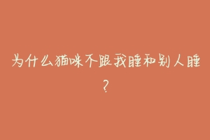 为什么猫咪不跟我睡和别人睡?-动物百科