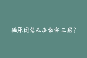 猫尿闭怎么办教你三招?-动物百科