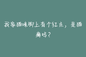 我家猫咪脚上有个红点,是猫癣吗?-动物百科