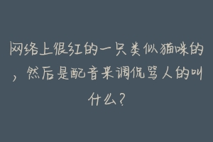 网络上很红的一只类似猫咪的,然后是配音来调侃骂人的叫什么?-动物百科
