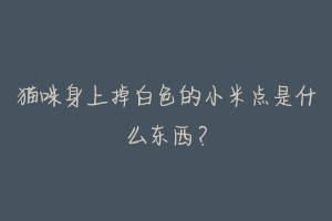 猫咪身上掉白色的小米点是什么东西？-动物百科