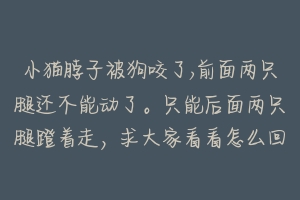 小猫脖子被狗咬了,前面两只腿还不能动了。只能后面两只腿蹬着走,求大家看看怎么回事?-动物百科
