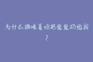 为什么猫咪喜欢把崽崽扔给我?-动物百科