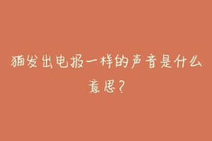 猫发出电报一样的声音是什么意思?-动物百科