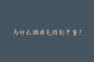 为什么猫掉毛特别严重?-动物百科