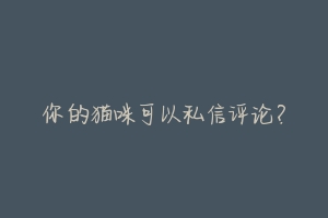 你的猫咪可以私信评论?-动物百科