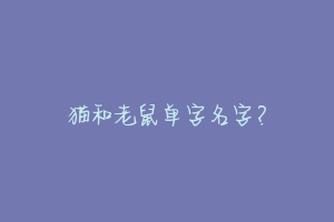 猫和老鼠单字名字?-动物百科