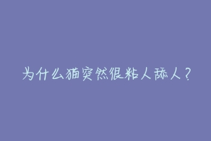 为什么猫突然很粘人舔人?-动物百科