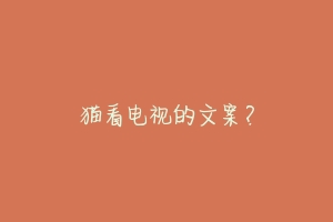 猫看电视的文案?-动物百科